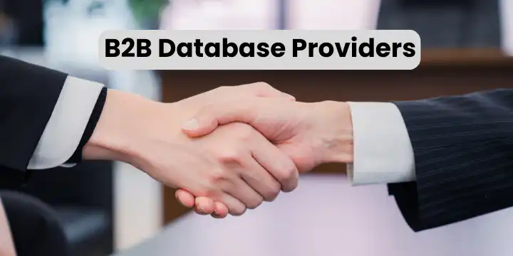 B2B Database Providers
