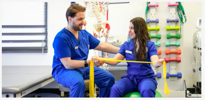 Physical Therapy Schools and Alumni Networks