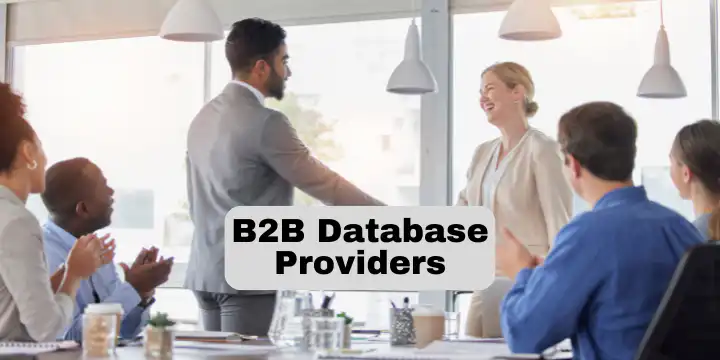 B2B Database Providers