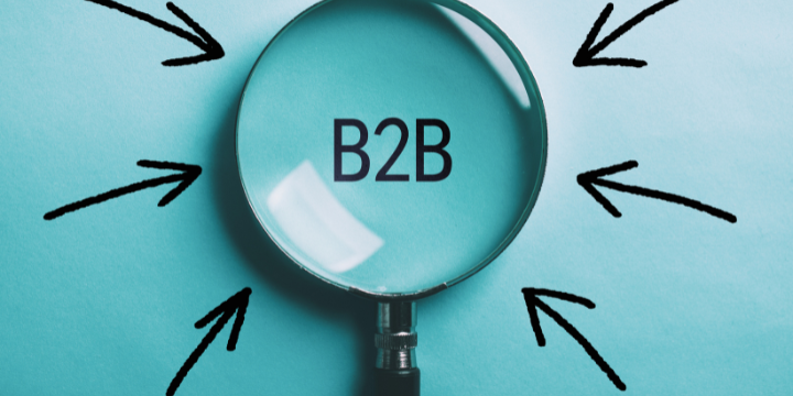 B2B Database Providers