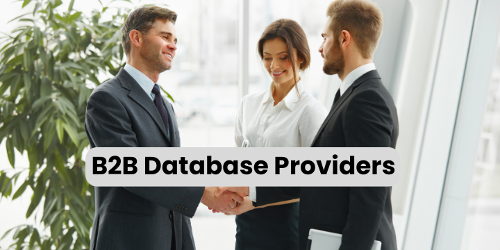 B2B Database Providers