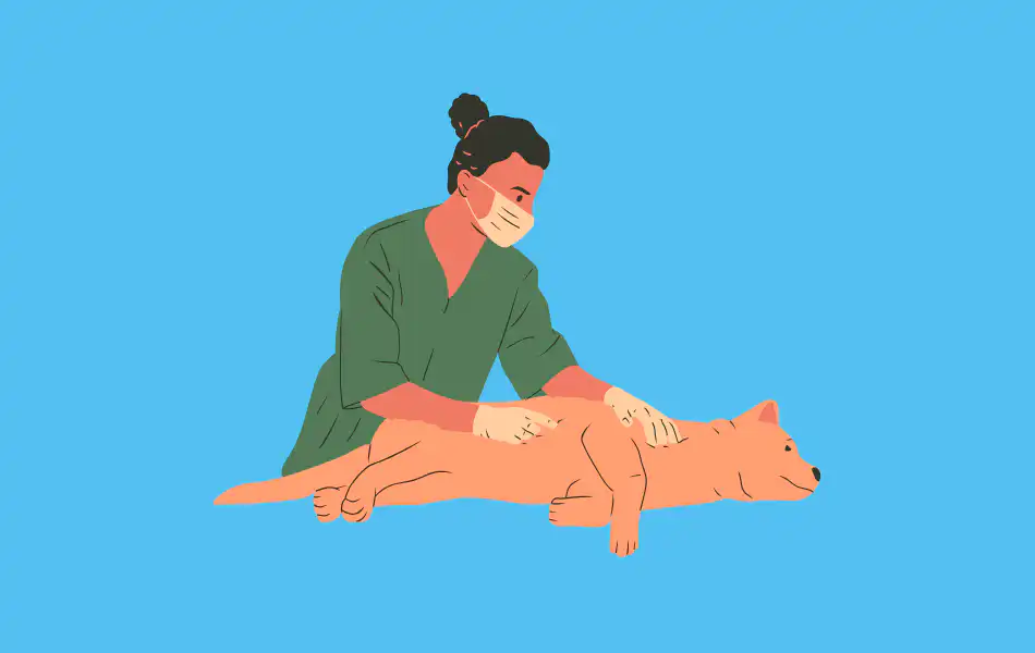 Veterinarian Purchasing Behavior