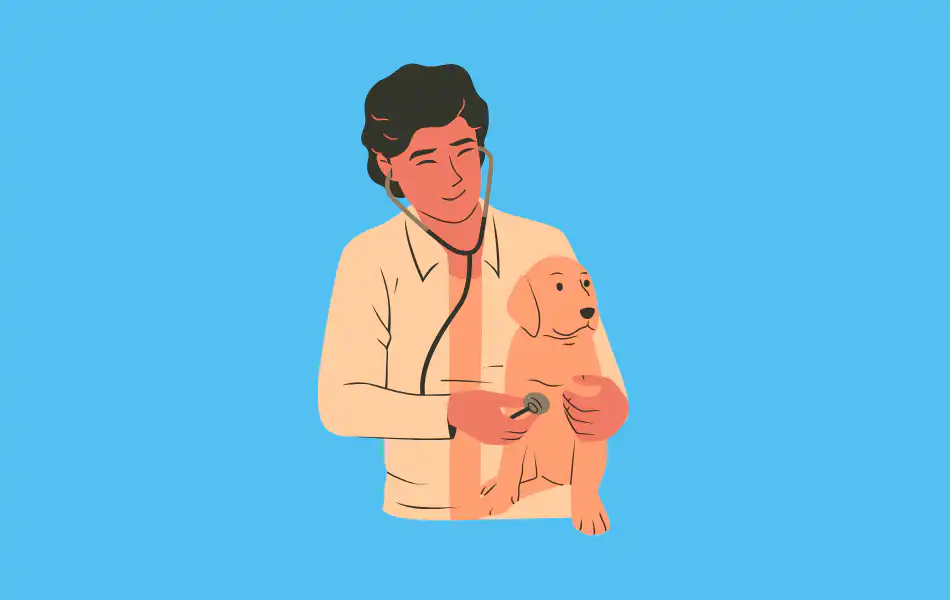 veterinarian Email list