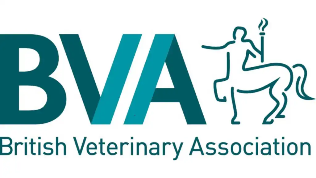 Leverage Industry Associations