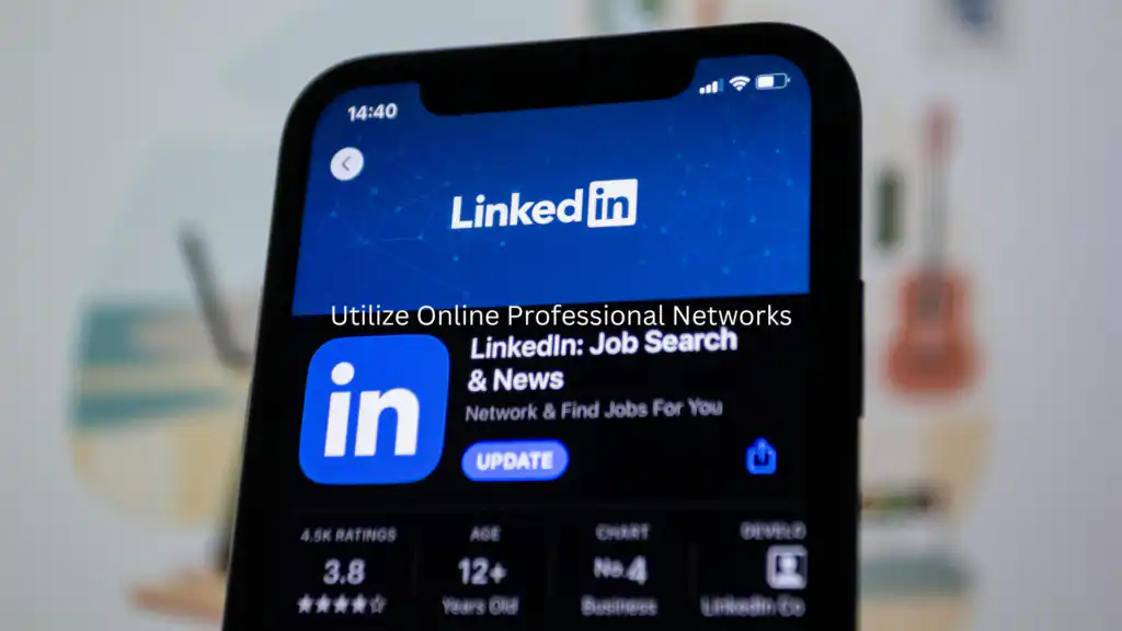 Online Professional Networks