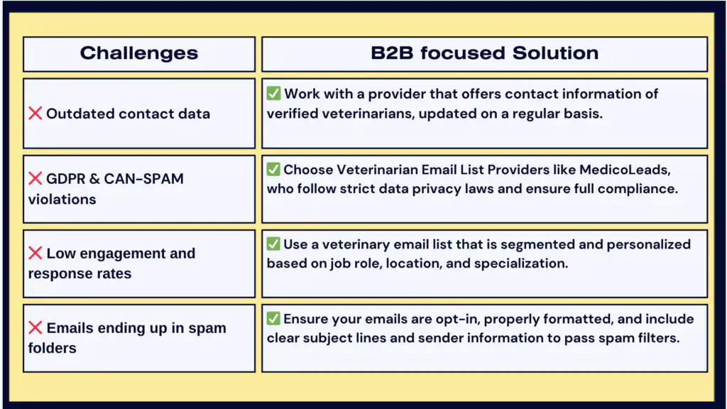 Common Challenges and B2B-Focused Solutions